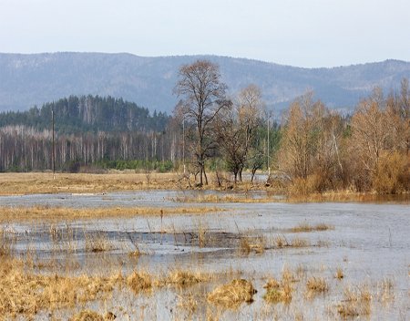 flood search
